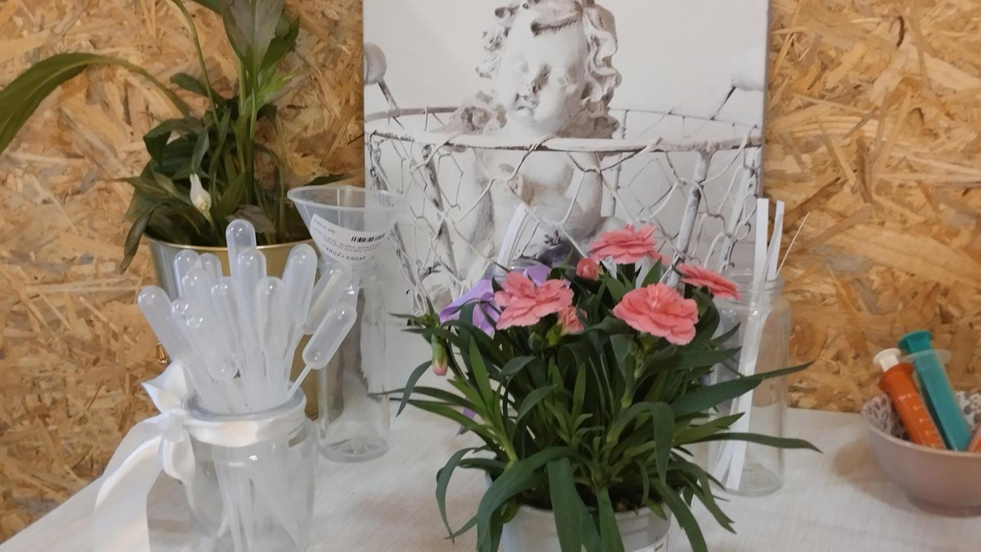 Le Laboratoire Shabby Chic De La Parfumerie Du Manoir Chavagne Exterior foto